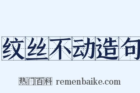 纹丝不动造句是什么意思的图片